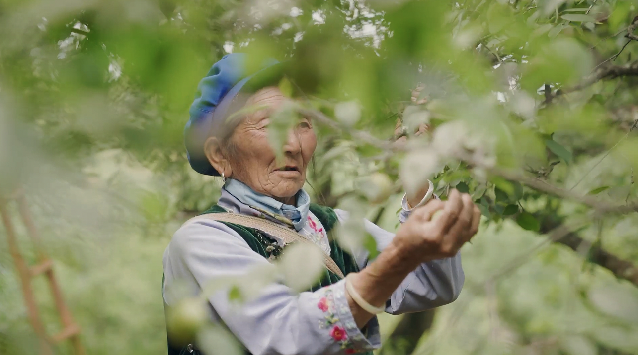 WX20220727-110424@2x WX20220727-110424@2x