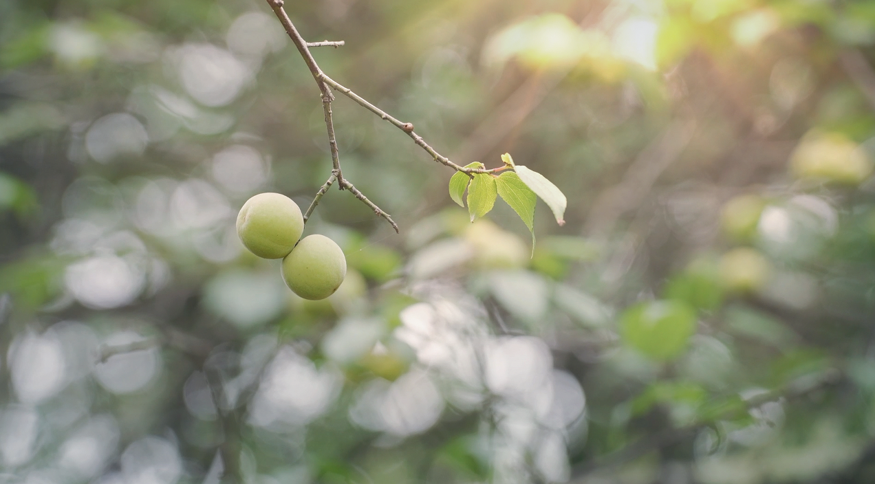 WX20220727-110520@2x WX20220727-110520@2x