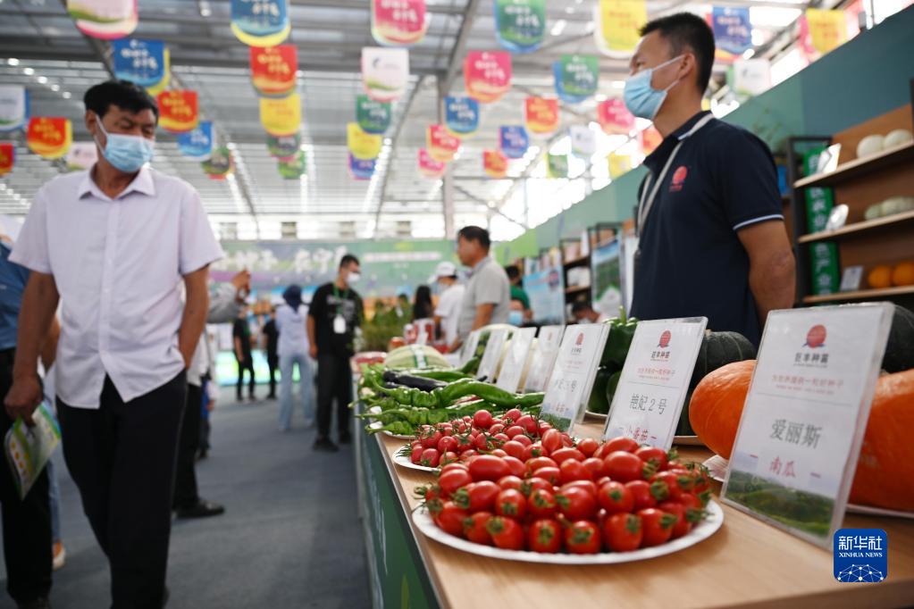 第九屆寧夏種業(yè)博覽會開幕