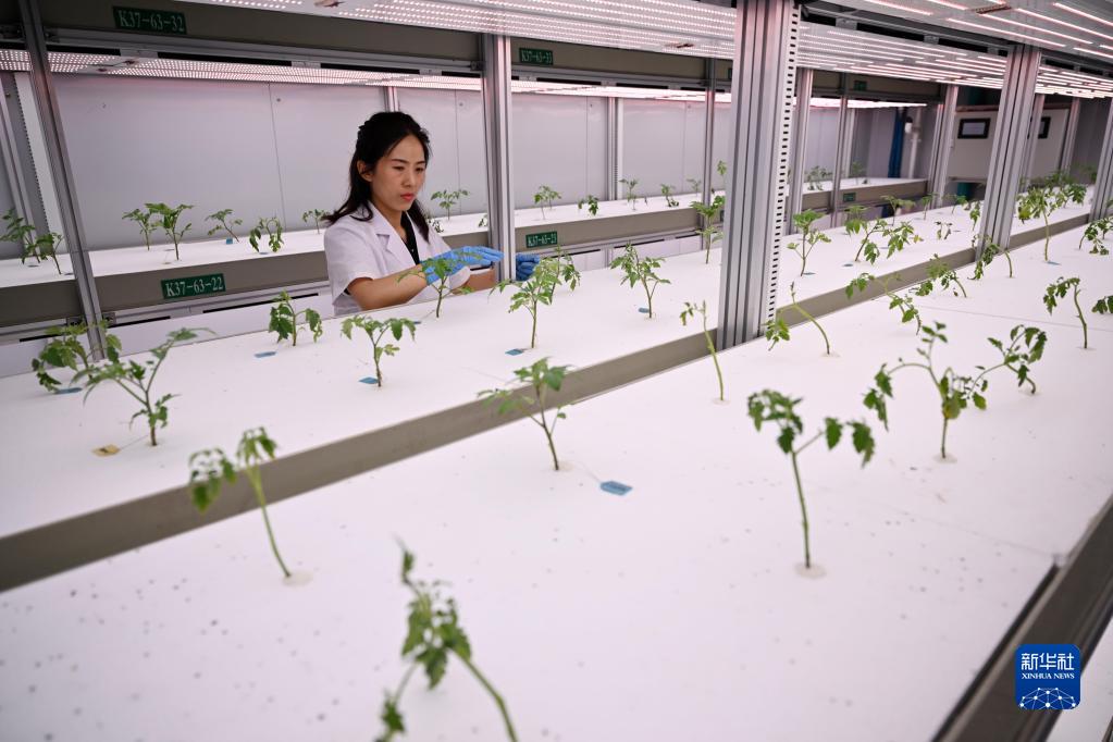 第九屆寧夏種業(yè)博覽會開幕