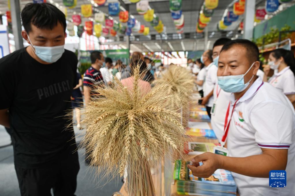 第九屆寧夏種業(yè)博覽會開幕
