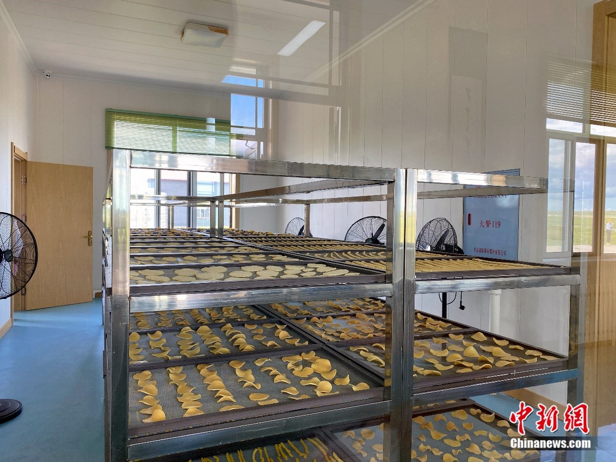 圖為芒來嘎查傳統(tǒng)奶制品加工作坊。 蘇亦瑜 攝