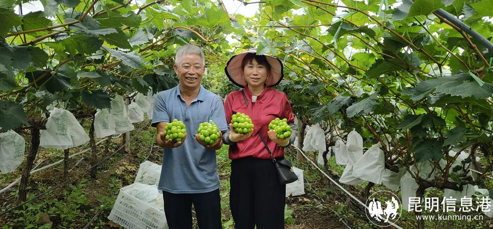 微信圖片_20220729184948