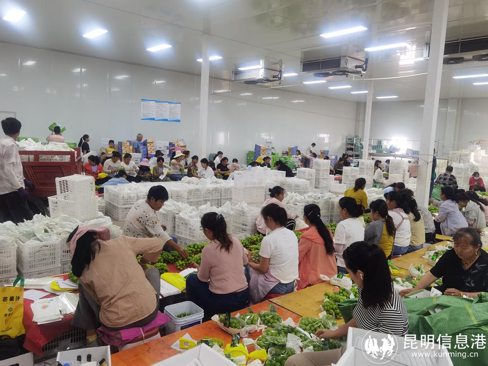 微信圖片_20220729184954