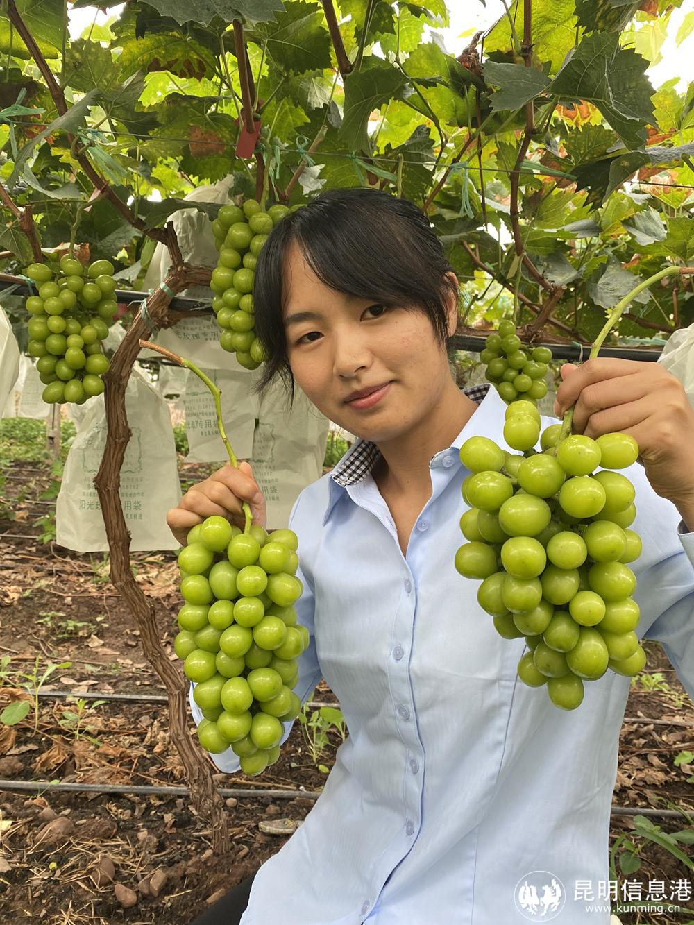 微信圖片_20220729185017