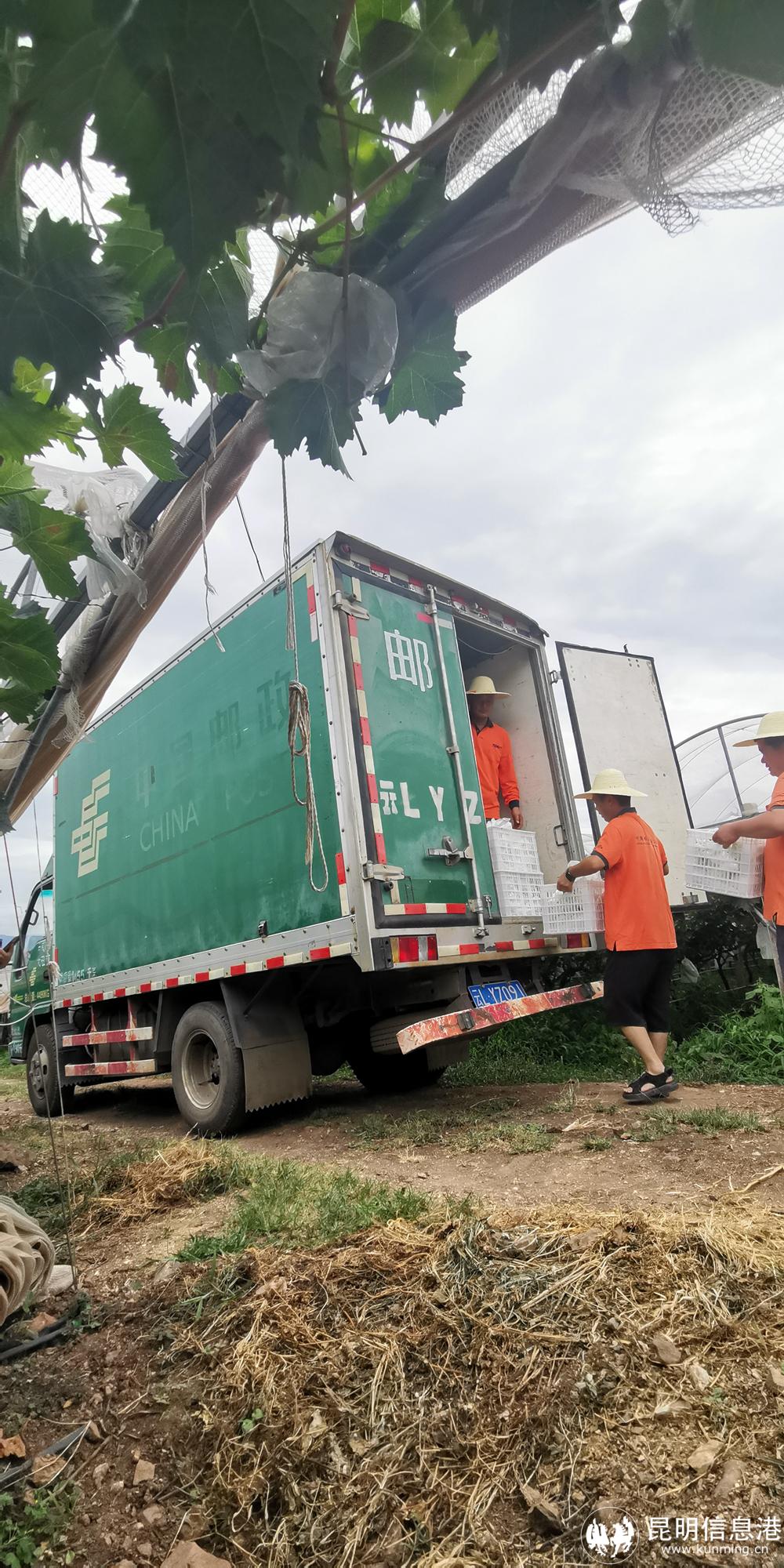 微信圖片_20220729185023