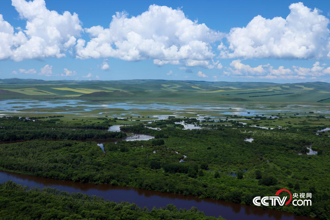 （額爾古納濕地 央視網(wǎng)記者 王靜遠(yuǎn) 攝）