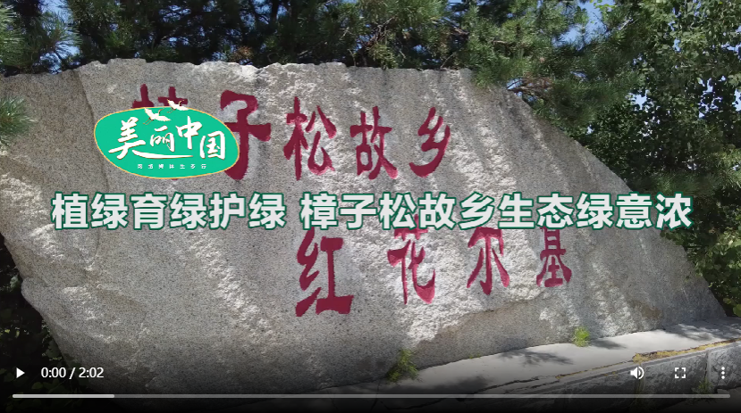 點(diǎn)擊查看視頻 點(diǎn)擊查看視頻