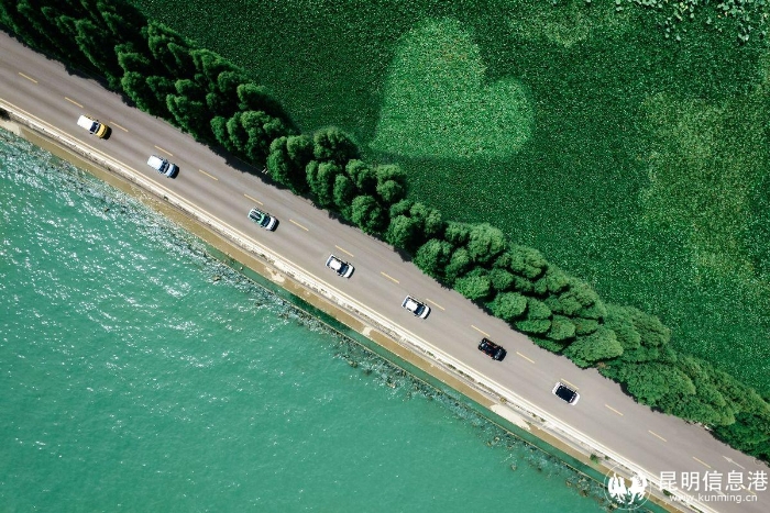 宏光MINIEV家族城市巡游打卡