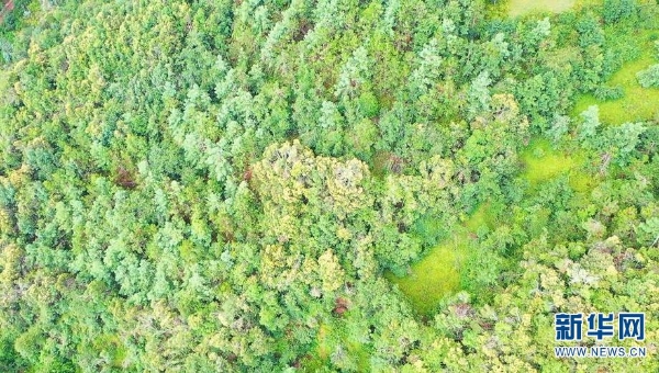 1310648158_16592338782481n