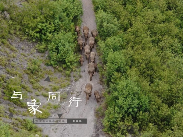 1310648455_16593208442801n 1310648455_16593208442801n