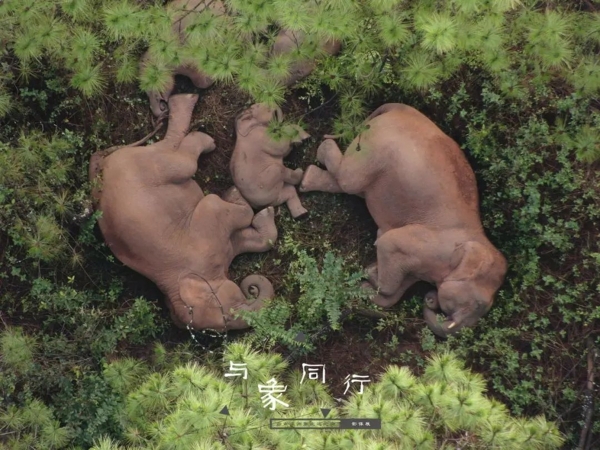 1310648455_16593208442931n 1310648455_16593208442931n