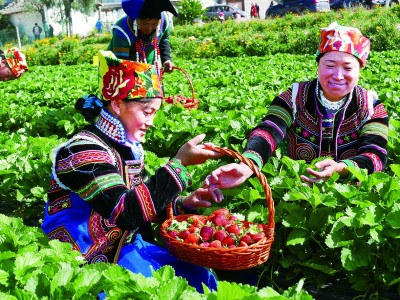 四川:“拼”出發(fā)展新氣象 四川:“拼”出發(fā)展新氣象