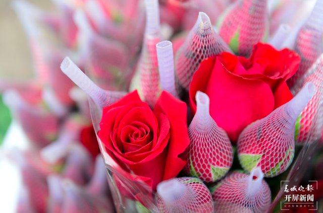 旅客來昆明斗南過七夕 驚嘆玫瑰花10元一把 (7).jpg