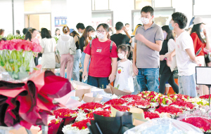 91741659554290785 91741659554290785