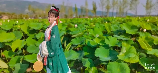 “荷”你有約！麒麟水鄉(xiāng)千畝荷花開了，打卡正當(dāng)時(shí)~