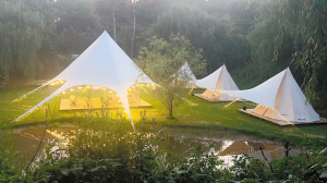 66941659554293847 66941659554293847