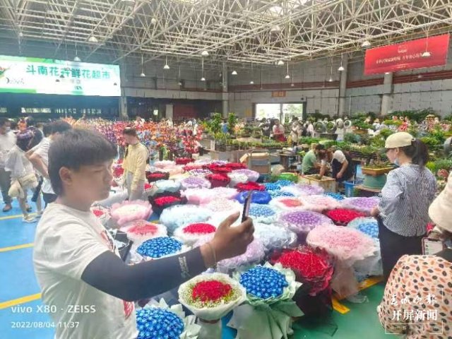 日均拍賣成交量近700萬支！“浪漫經(jīng)濟”催生斗南鮮花量價齊升（閔楠 攝）