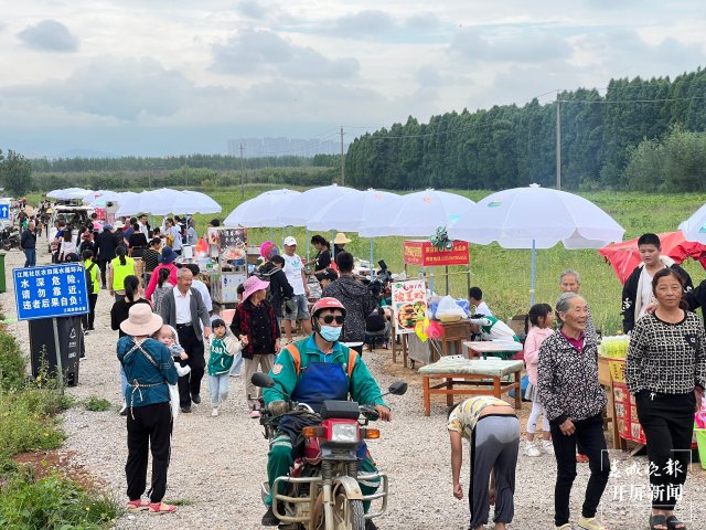 賞荷花、挖土豆、吃美食……首屆斗南農(nóng)旅文化節(jié)開(kāi)幕