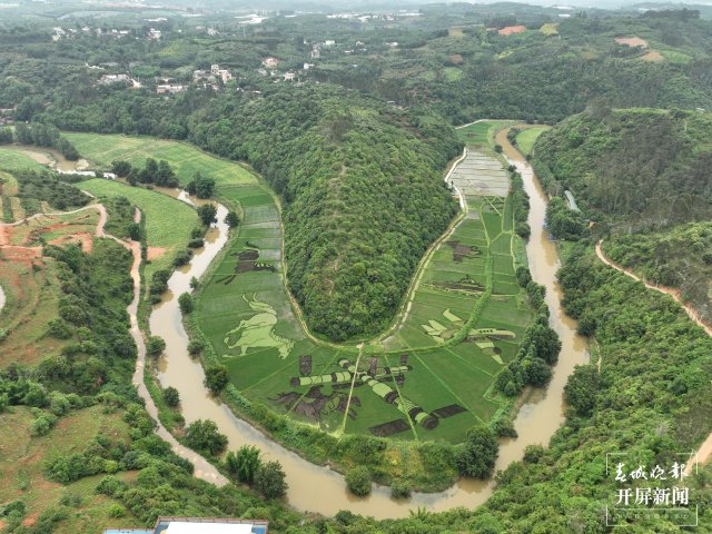 宜良首屆彩色水稻文化旅游節(jié)正式開(kāi)幕