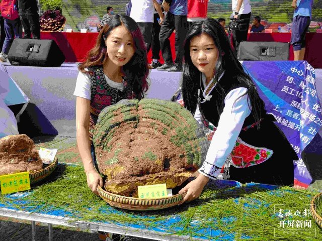 楚雄南華2022年野生菌美食文化節(jié)（春城晚報-開屏新聞記者 左學(xué)佳 攝）