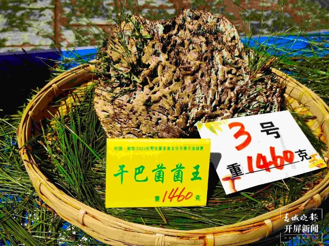 楚雄南華2022年野生菌美食文化節(jié)（春城晚報-開屏新聞記者 左學(xué)佳 攝）
