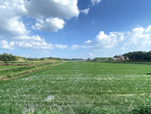 1310650334_16599145091591n