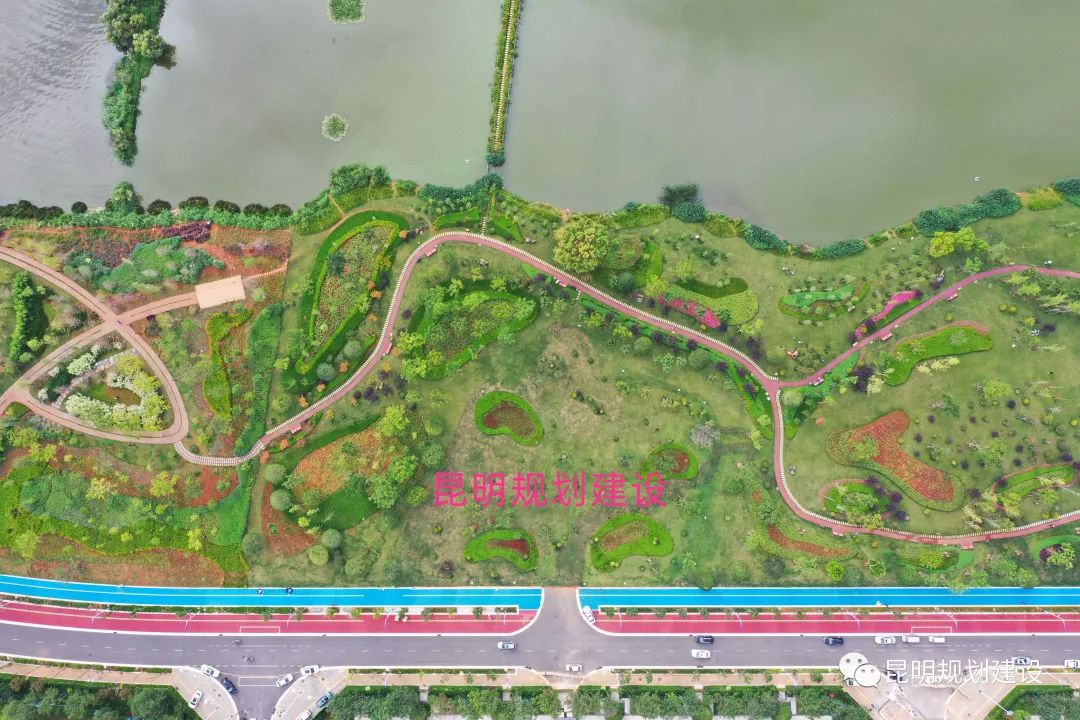 投資4.3億！昆明滇池綠道周邊地塊將進(jìn)行生態(tài)修復(fù)