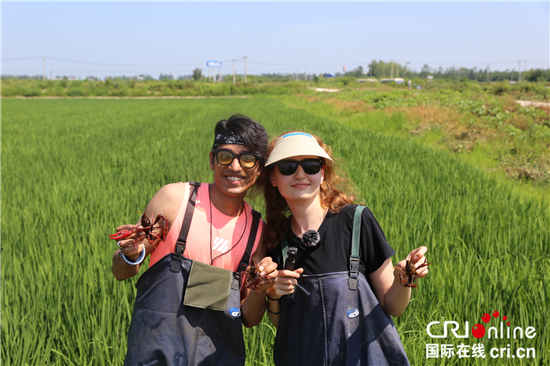 【2022打卡中國(guó)】打卡淮安：運(yùn)河三千里，為何“醉美”是淮安？_fororder_圖片 2