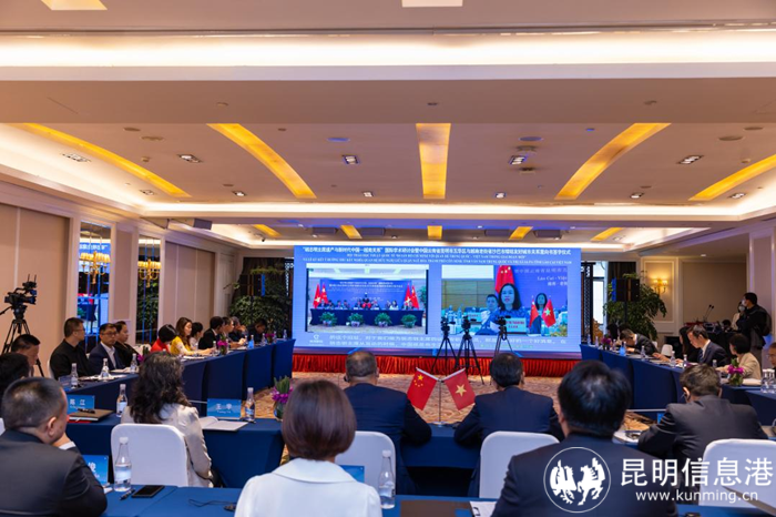 視頻交流會(huì)現(xiàn)場(chǎng)（供圖）