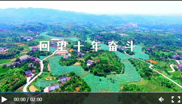 QQ截圖20220811143744