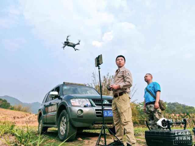 云南全面加強(qiáng)亞洲象保護(hù)及肇事防范管理