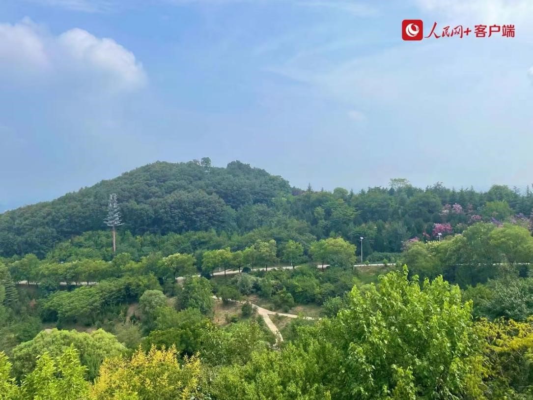 鳥瞰秦嶺國家植物園。人民網(wǎng)記者李依環(huán)攝