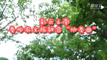 微信截圖_20220814194922