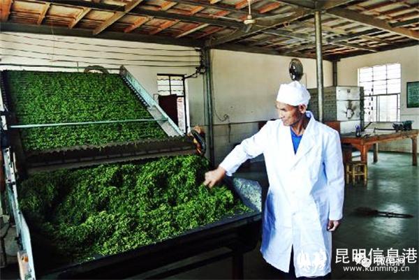 南澗縣融媒體中心供圖4 南澗縣融媒體中心供圖4