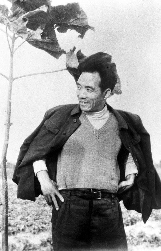 這是焦裕祿當(dāng)年滿懷豪情地在泡桐樹前留影。新華社發(fā)（1990年5月10日發(fā)）