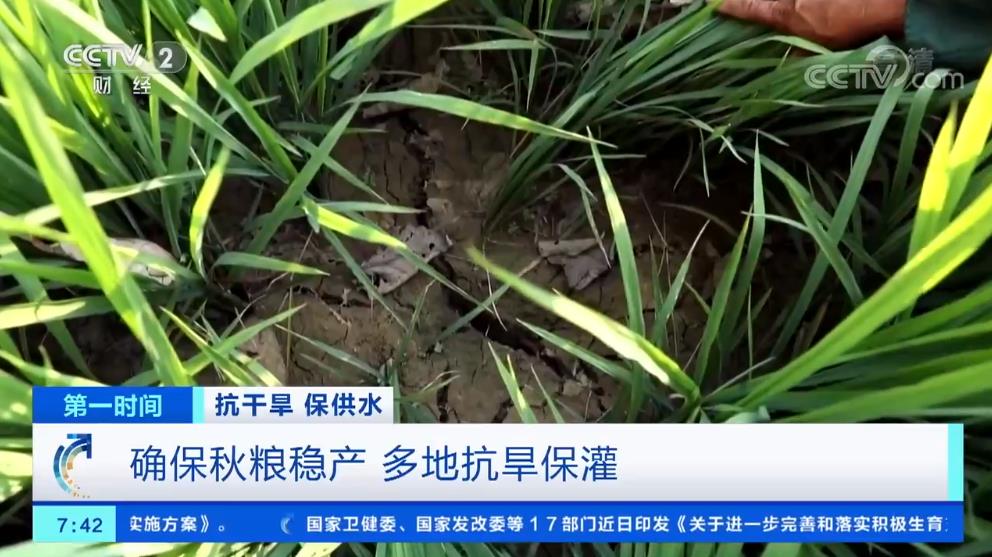 微信圖片_20220817150814