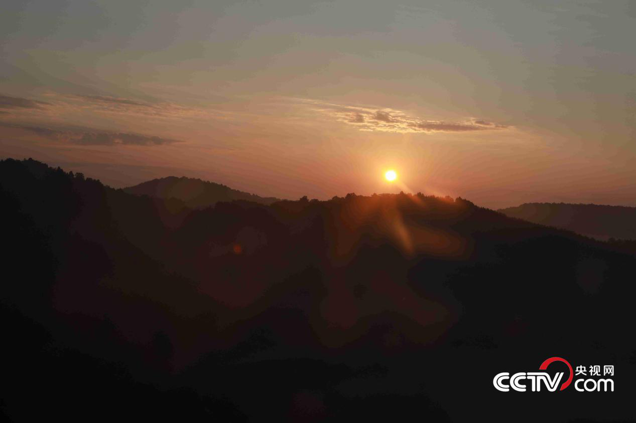 黃龍山國家森林公園 央視網(wǎng)記者 彭俊 攝