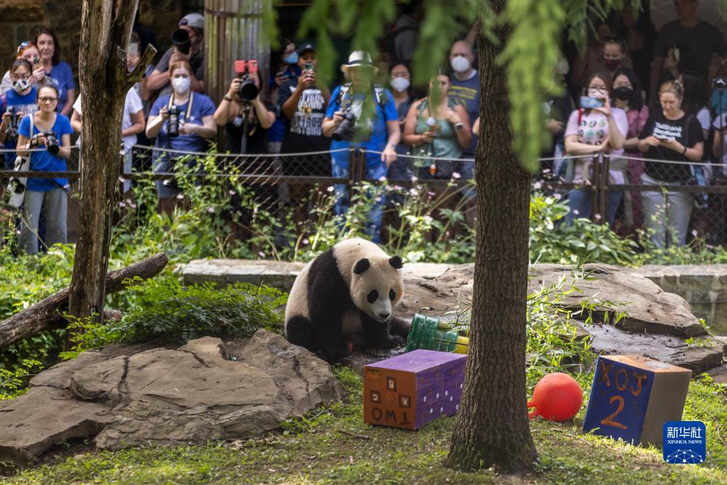 1128935117_16611514360331n 1128935117_16611514360331n