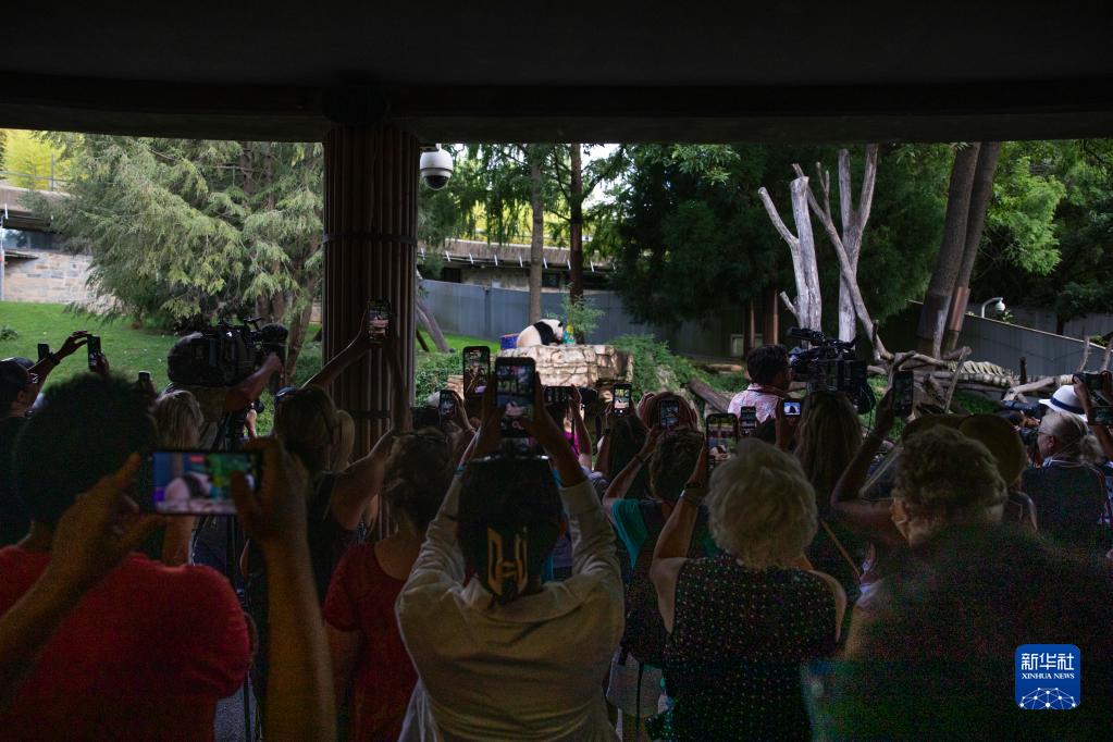 1128935117_16611514592721n 1128935117_16611514592721n