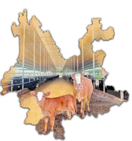 微信截圖_20220823082759