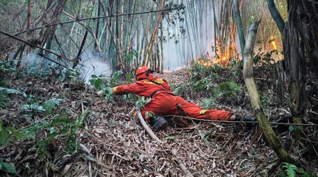 云南省森林消防總隊已派出736名指戰(zhàn)員增援重慶火場（供圖）