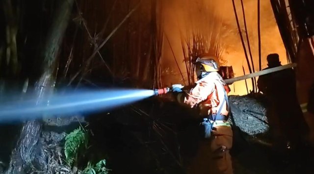 云南省森林消防總隊已派出736名指戰(zhàn)員增援重慶火場（供圖）