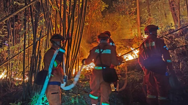 云南省森林消防總隊已派出736名指戰(zhàn)員增援重慶火場（供圖）