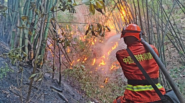 云南省森林消防總隊已派出736名指戰(zhàn)員增援重慶火場（供圖）