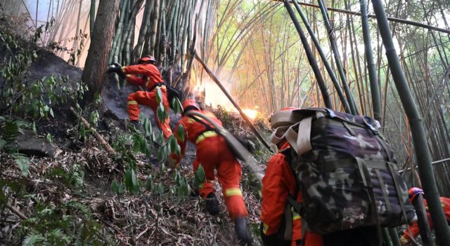 云南省森林消防總隊已派出736名指戰(zhàn)員增援重慶火場（供圖）