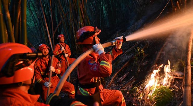 云南省森林消防總隊已派出736名指戰(zhàn)員增援重慶火場（供圖）