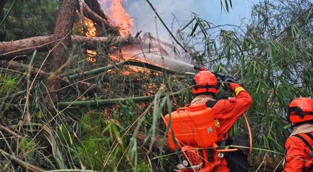 云南省森林消防總隊已派出736名指戰(zhàn)員增援重慶火場（供圖）