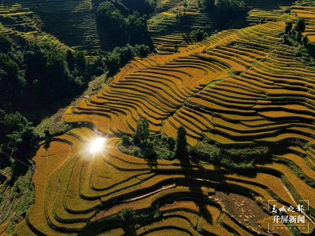 紅河哈尼梯田（春城晚報-開屏新聞通訊員 胡艷輝 攝）