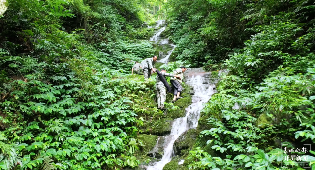 文山廣南:838.6萬畝森林筑起綠色生態(tài)安全屏障